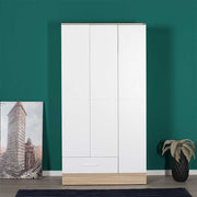 אלכסנדר 3 -  RD831 ארון בגדים