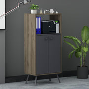 Rasha Office – ארונית אחסון רב תכליתית - פחם - אגוז