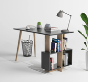 Lagomood Side- פחם אלון